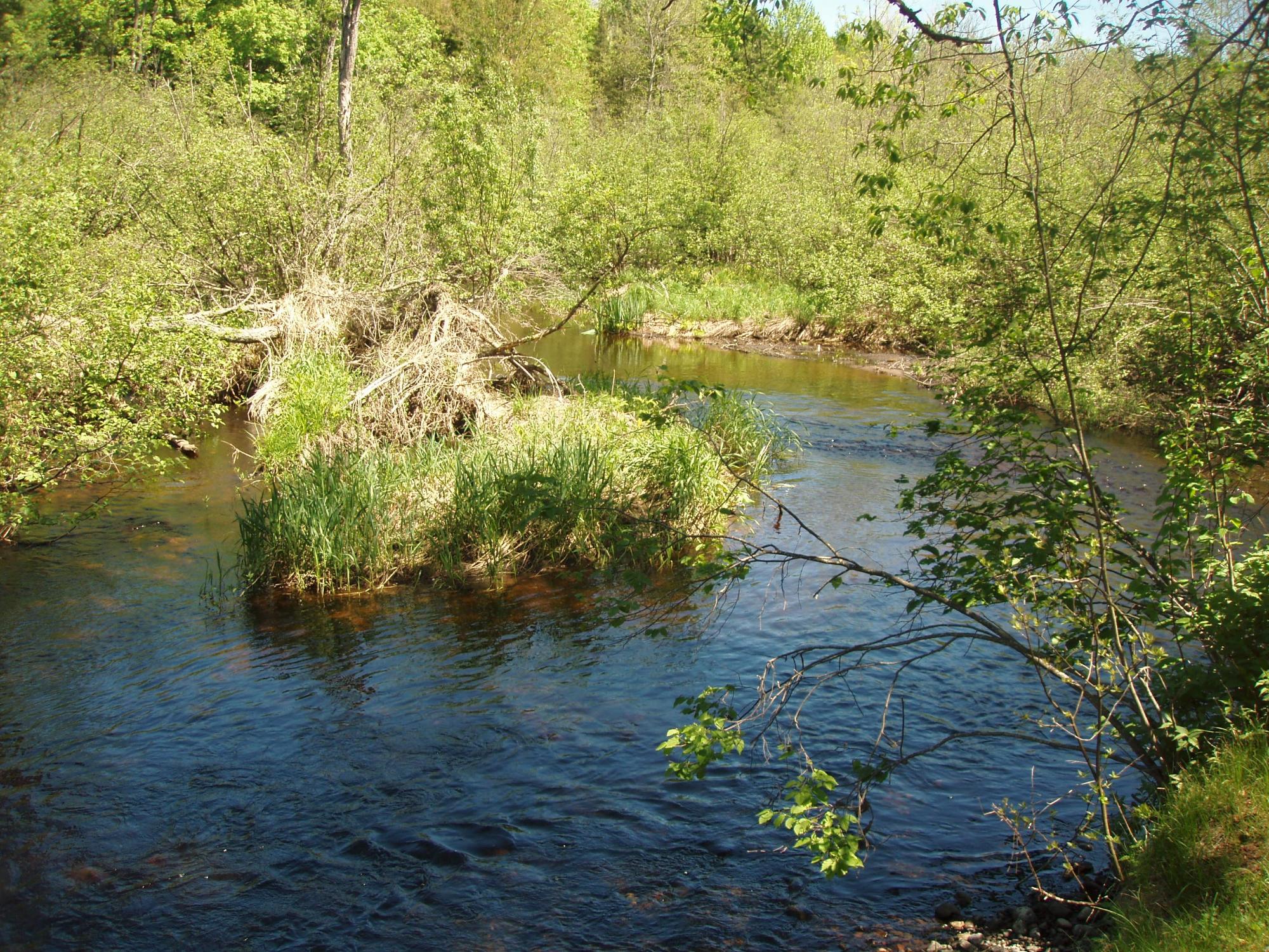 W9798 Fleming Road Park Falls, WI 54552 - Photo 11 of 74 Gallery Image 11