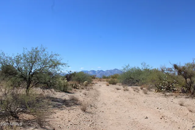 a view of a dry field with trees in the background