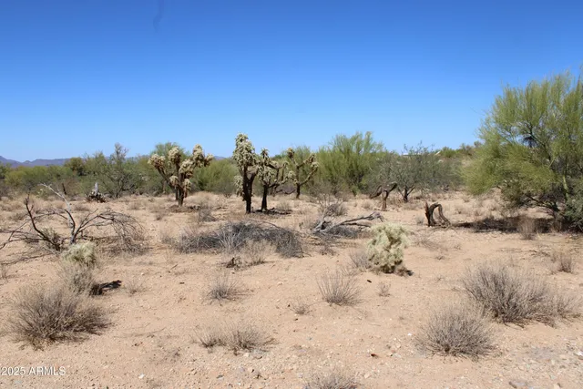 a view of a snow in a field