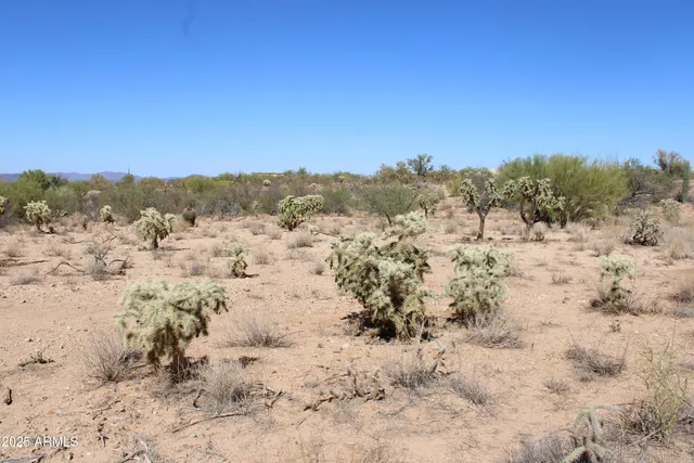 a view of a field with a tree in the background