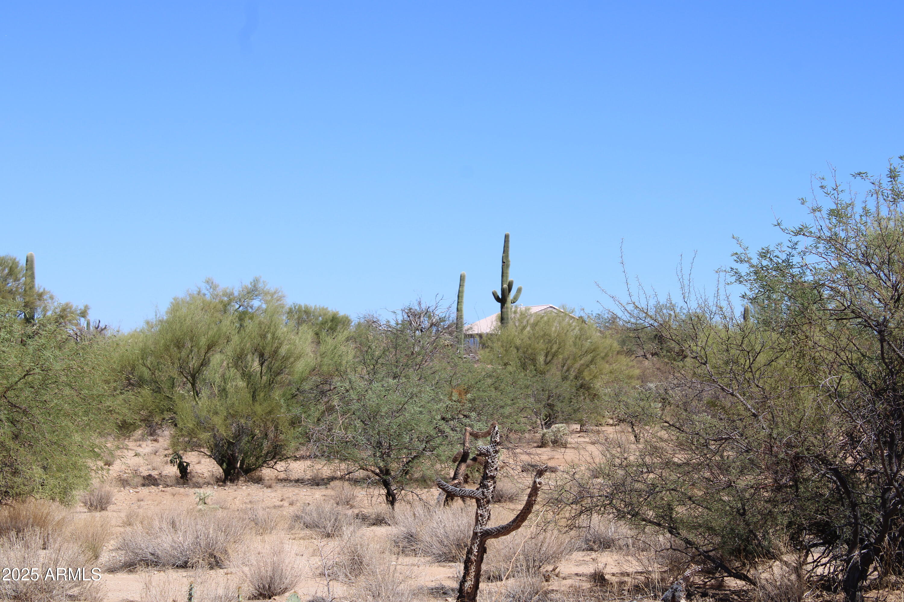 14243 South Shaw Road, Unit 331 Tucson, AZ 85736 - Photo 5 of 6 IMG_2364