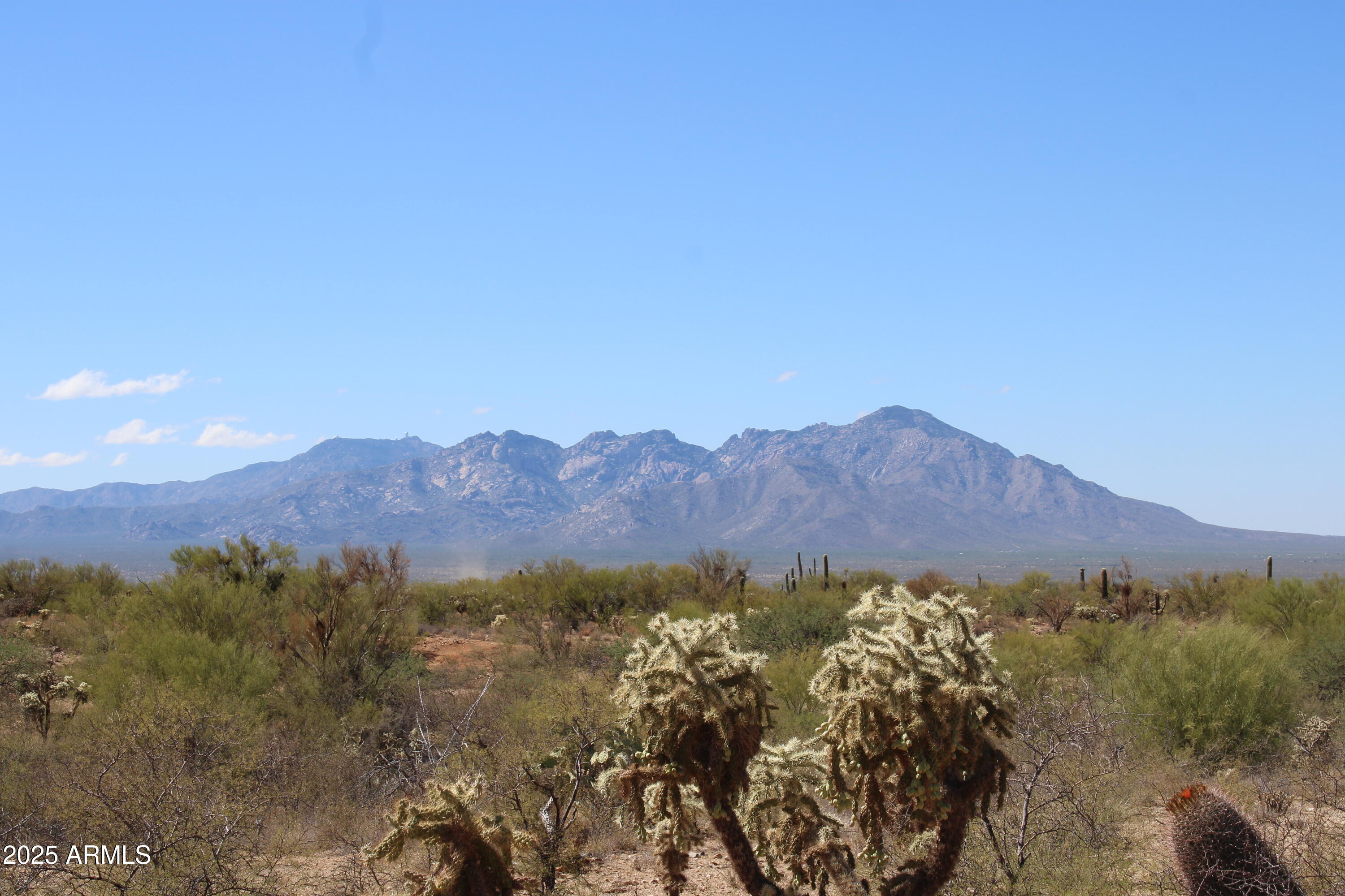 14243 South Shaw Road, Unit 331 Tucson, AZ 85736 - Photo 6 of 6 IMG_2369