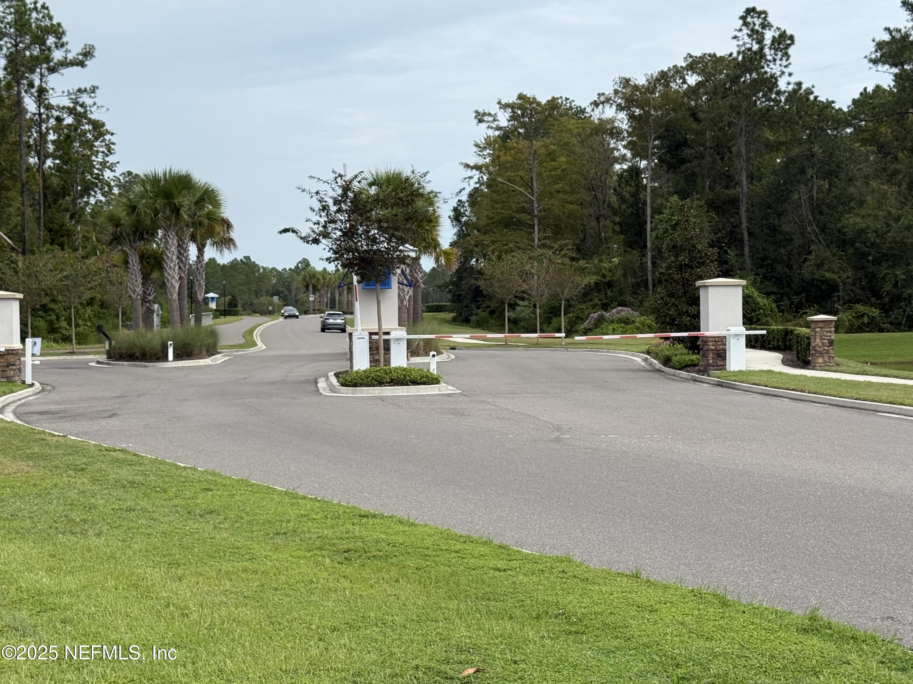 48 Java Lane St. Augustine, FL 32092 - Photo 21 of 26 a view of a park with palm trees