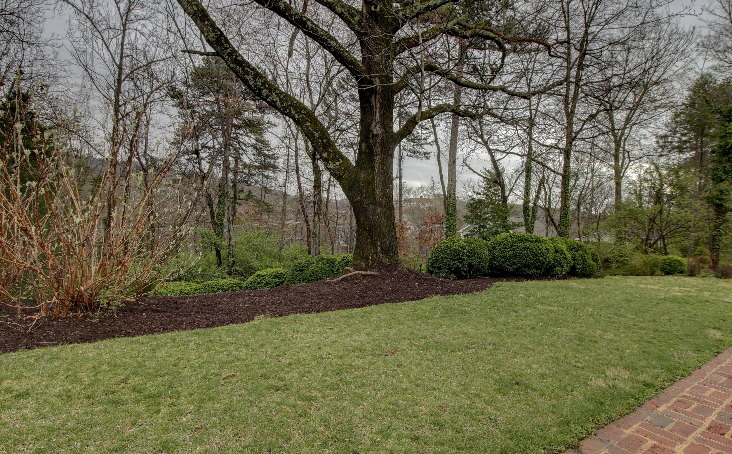 3866 Winding Way Road Southwest Roanoke, VA 24015 - Photo 60 of 71 Back Yard Landscaping