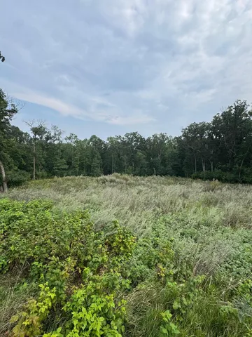 $79,900 | Tbd North Fox Lk Lane, Detroit Lakes, MN 56501