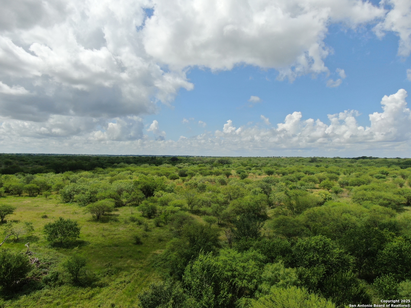 Tract 2 County Rd 207 Falls City, TX 78117 - Photo 2 of 6