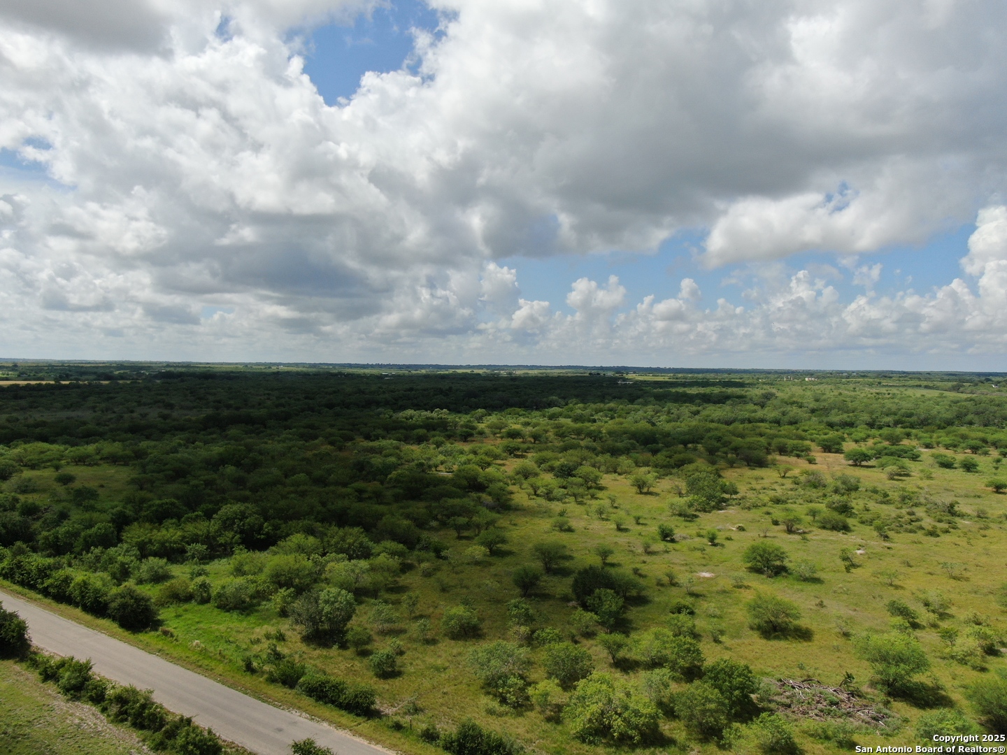 Tract 2 County Rd 207 Falls City, TX 78117 - Photo 5 of 6