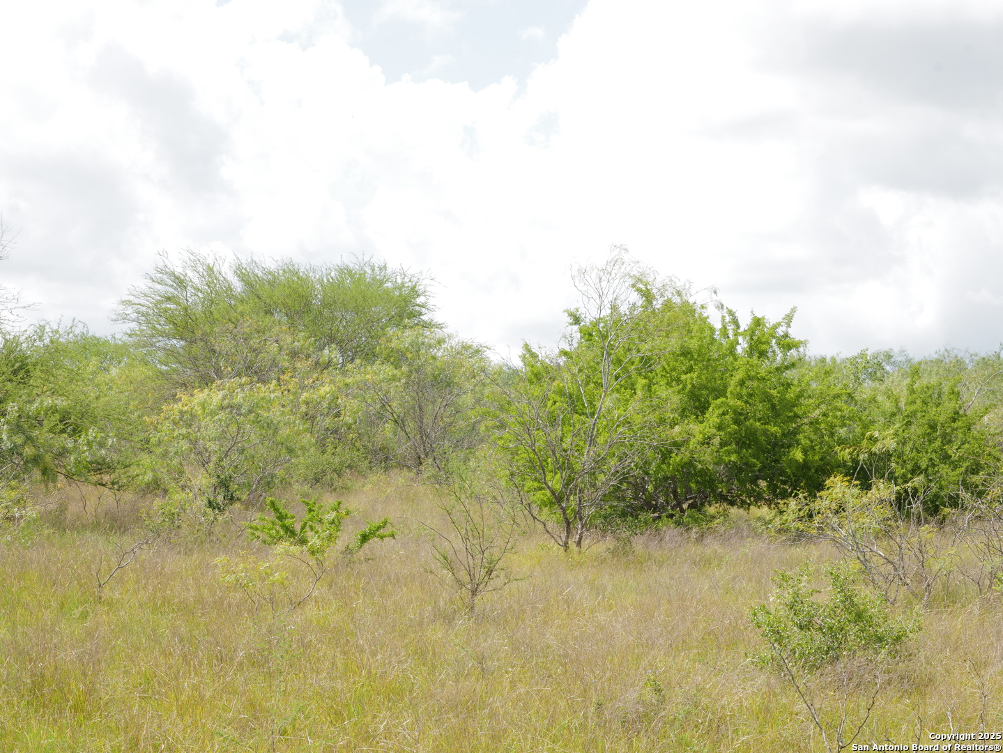 Tract 2 County Rd 207 Falls City, TX 78117 - Photo 6 of 6