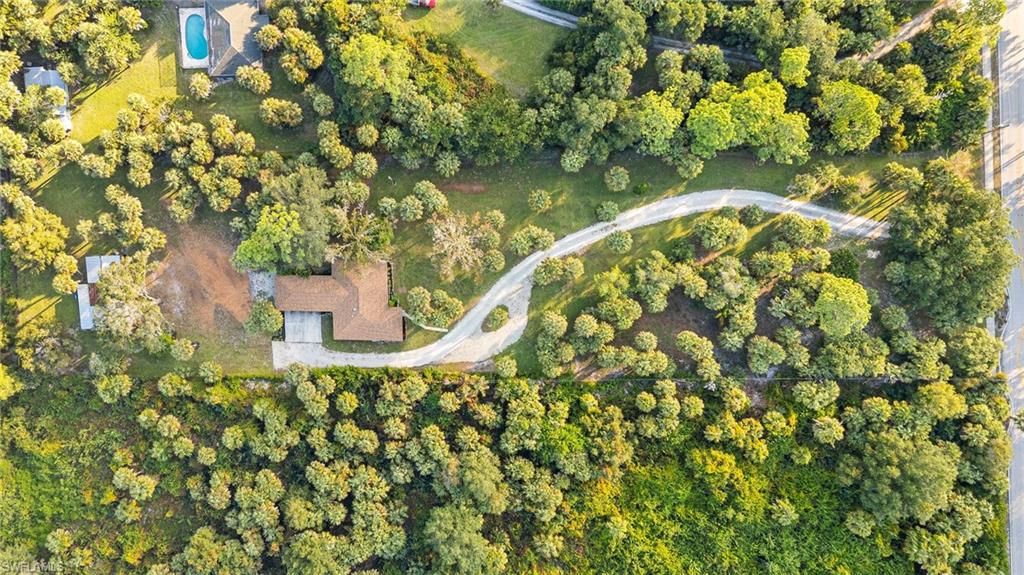 1030 13th Street Southwest Naples, FL 34117 - Photo 30 of 43 a picture of a tree with a lake