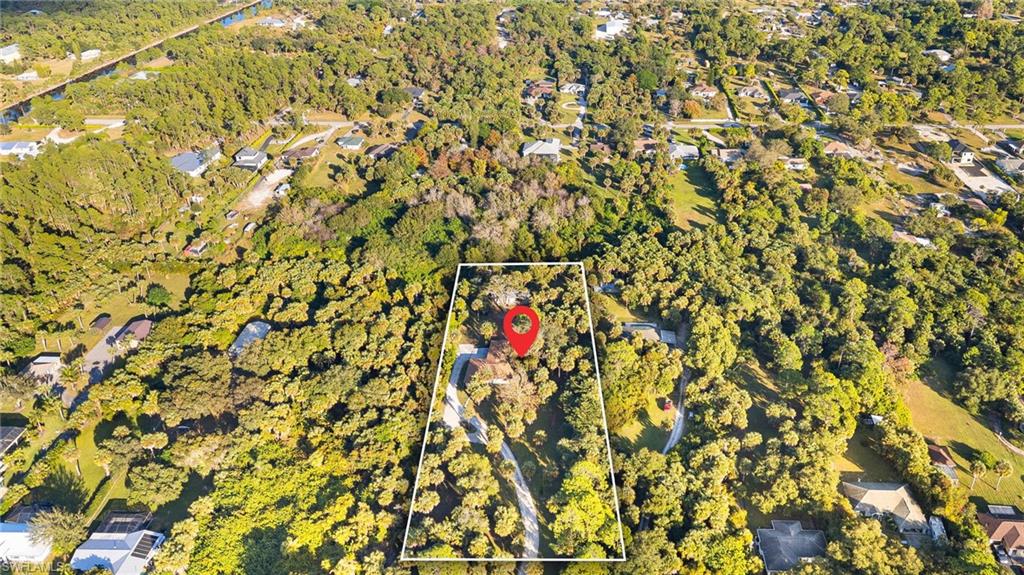 1030 13th Street Southwest Naples, FL 34117 - Photo 31 of 43 a close up of a plant