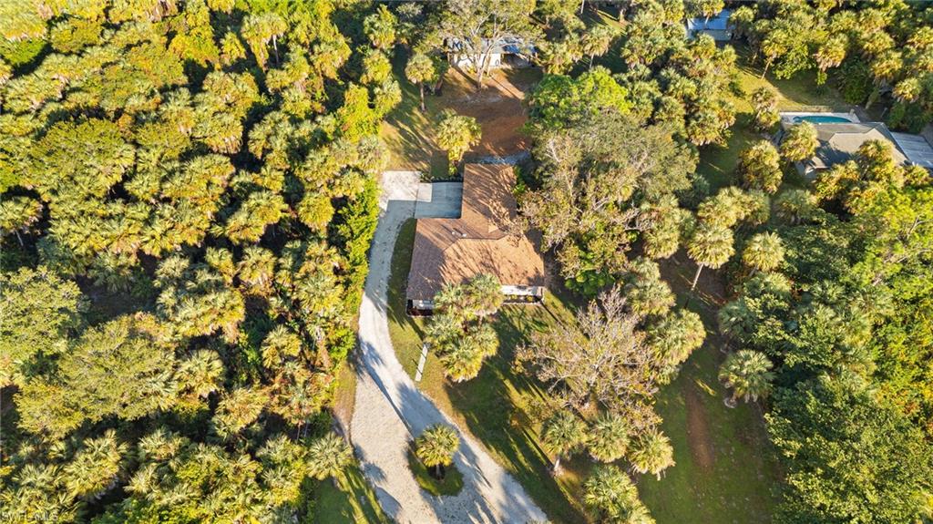 1030 13th Street Southwest Naples, FL 34117 - Photo 36 of 43 a picture of a tree