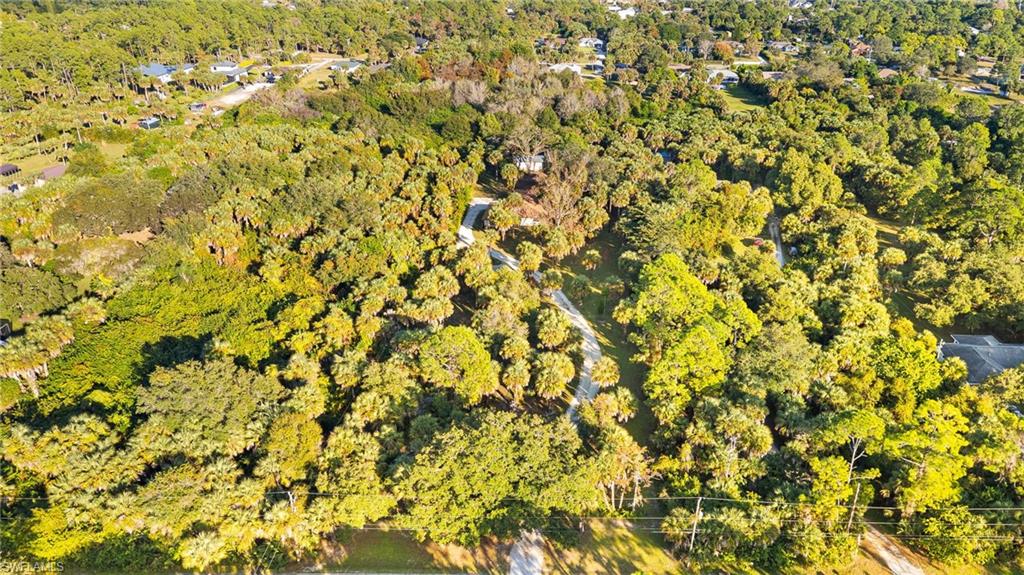 1030 13th Street Southwest Naples, FL 34117 - Photo 40 of 43 a view of a yard