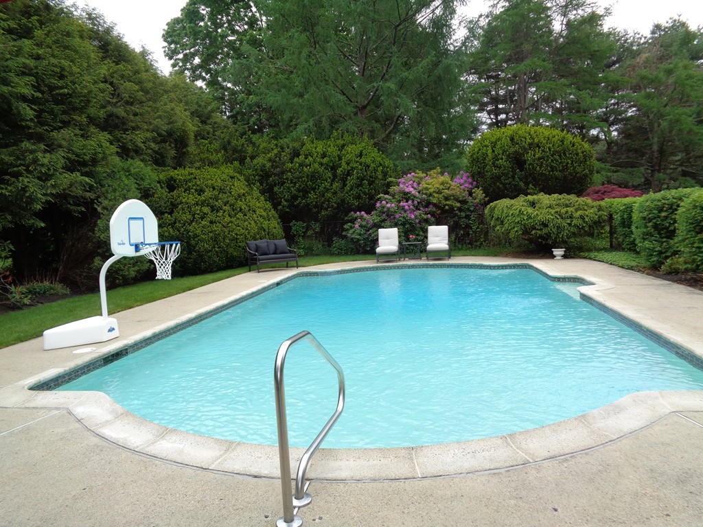 91 Winding River Road Needham, MA 02492 - Photo 24 of 27 a view of a swimming pool with a yard and plants