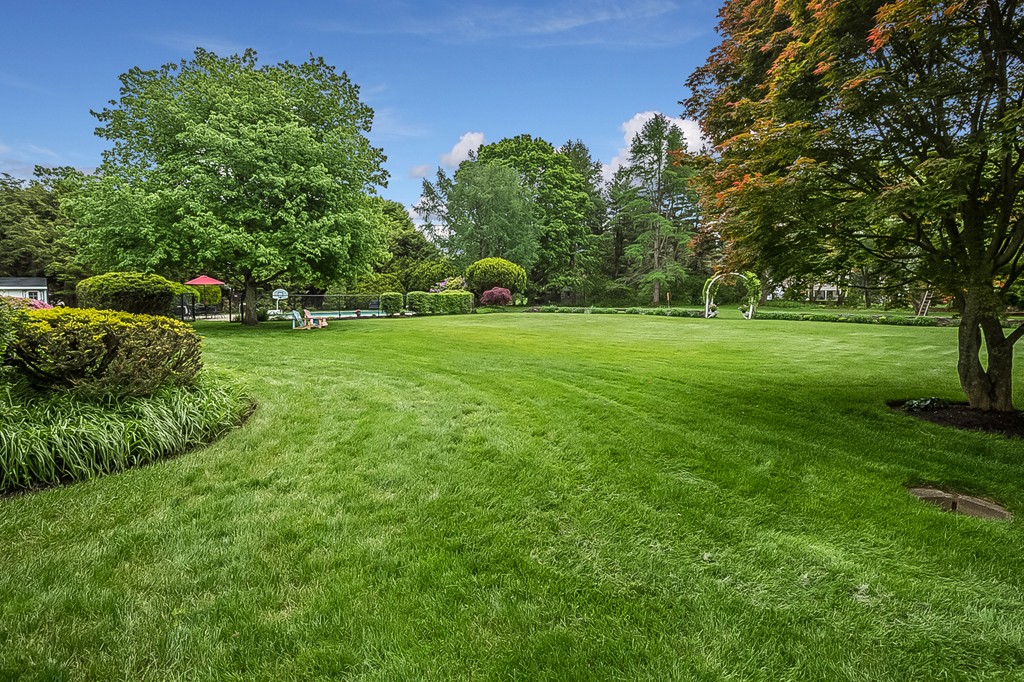 91 Winding River Road Needham, MA 02492 - Photo 26 of 27 a big yard with lots of green space
