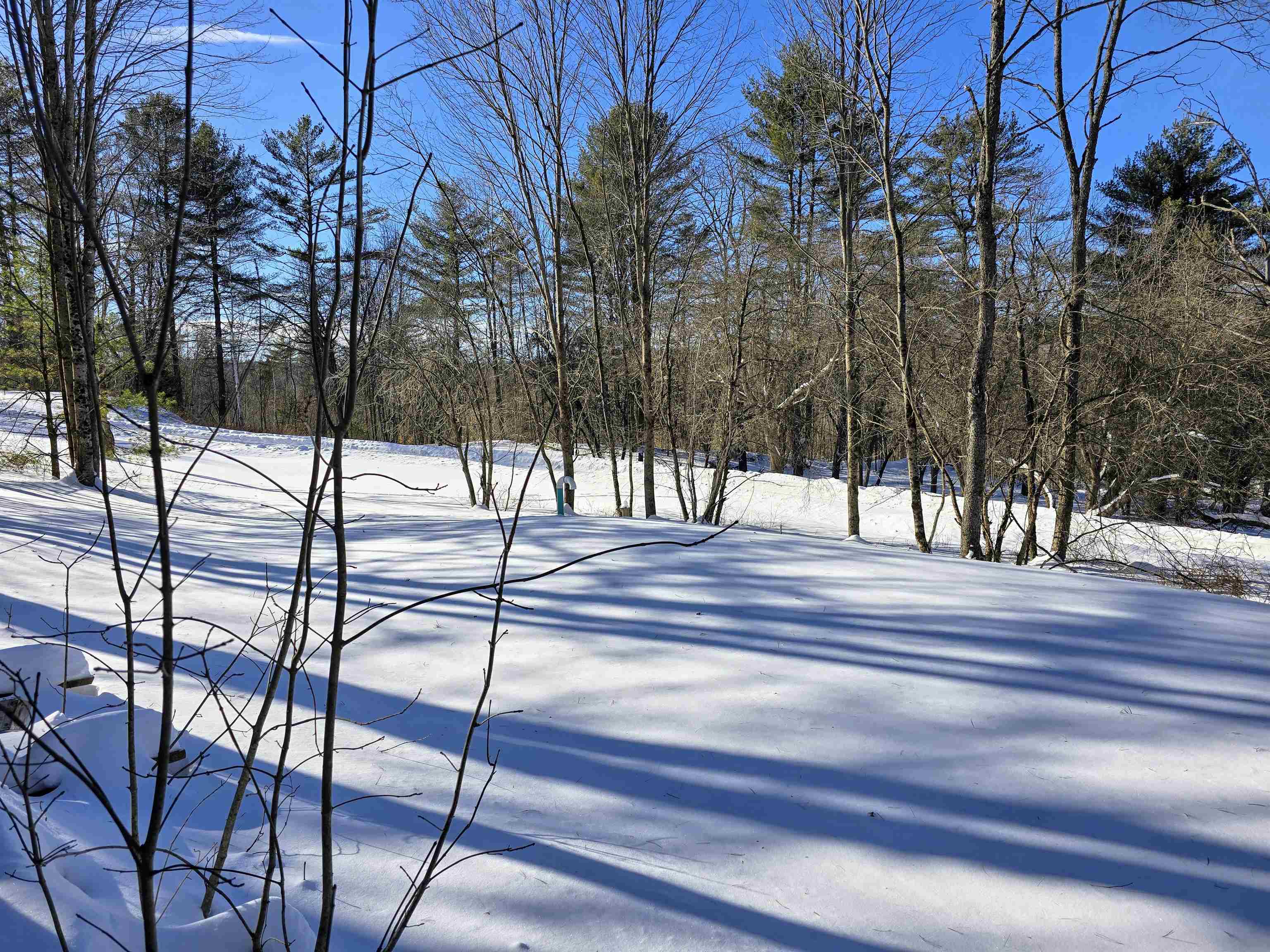 82 Hodge Hill Road Lisbon, NH 03585 - Photo 4 of 45