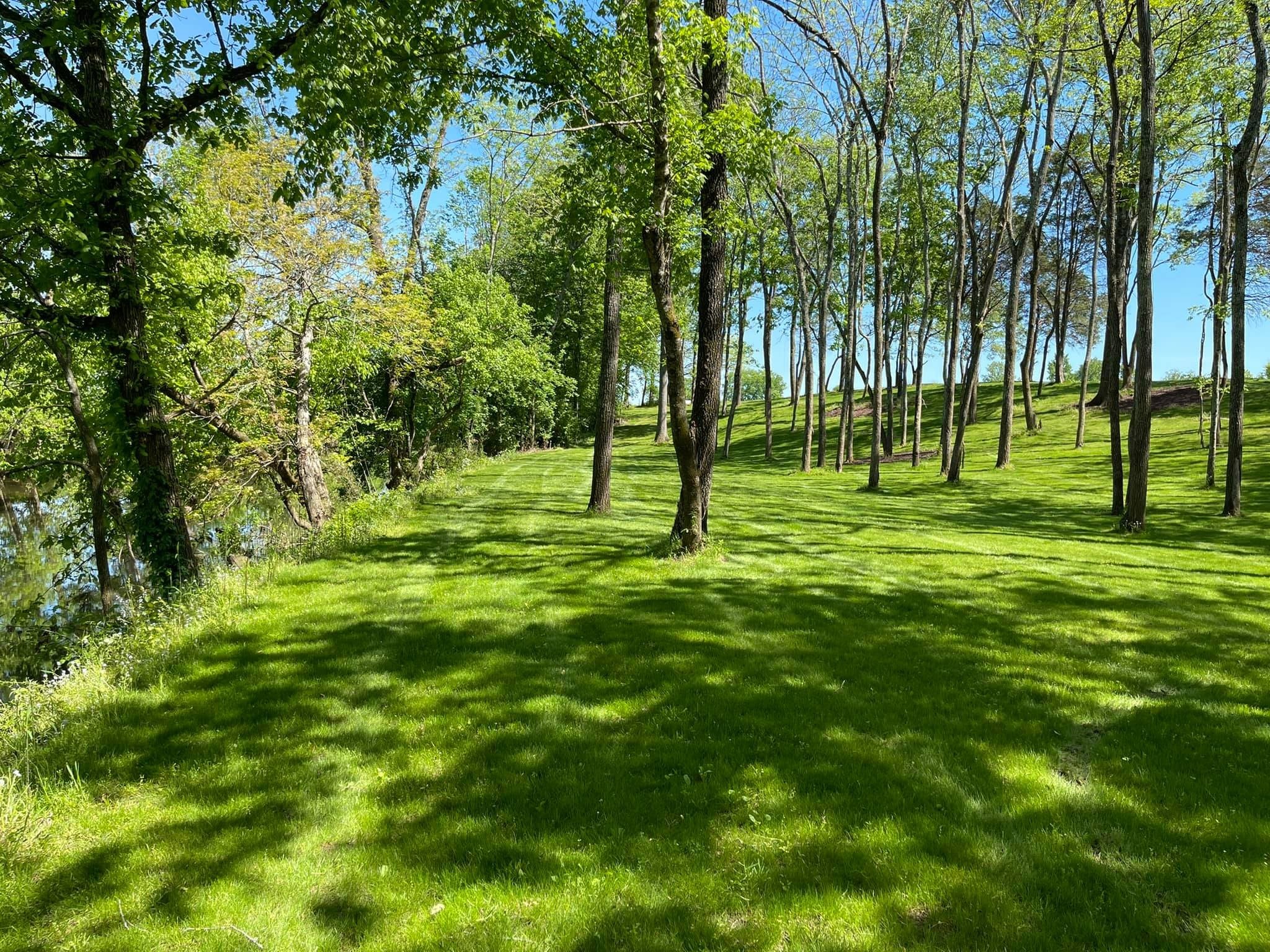 944 Maple Hill Road Lebanon, TN 37087 - Photo 2 of 5 a view of field with trees
