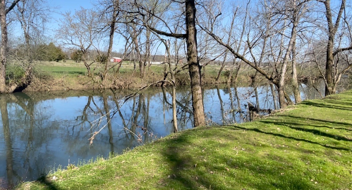 944 Maple Hill Road Lebanon, TN 37087 - Photo 3 of 5 a backyard of a house with lots of green space