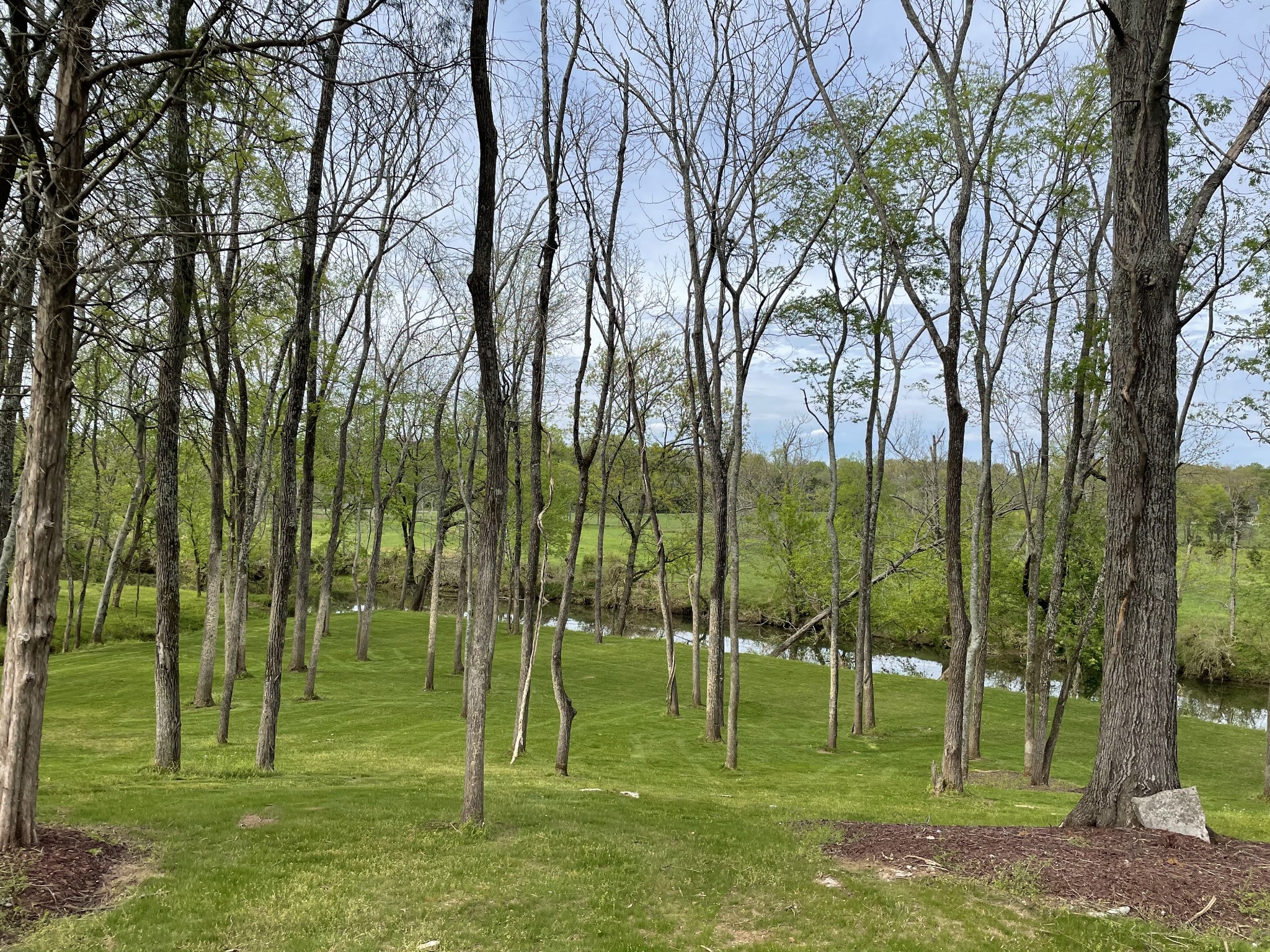 944 Maple Hill Road Lebanon, TN 37087 - Photo 4 of 5 a view of a park