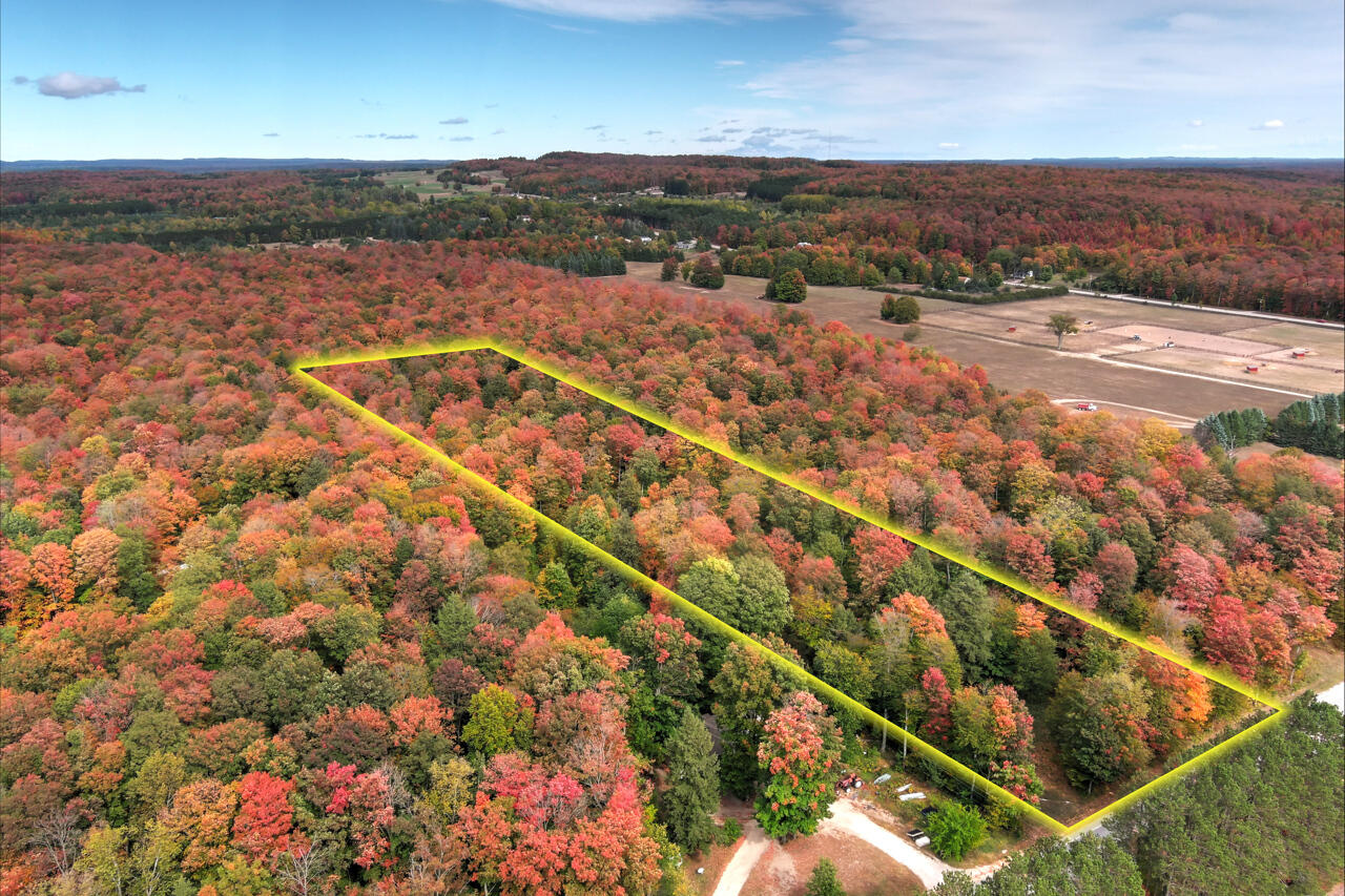 Z0 Homestead Road Benzonia, MI 49616 - Photo 1 of 14 4-Aerial-View-4