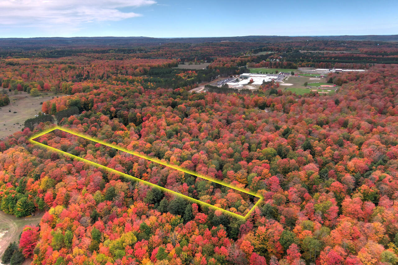 Z0 Homestead Road Benzonia, MI 49616 - Photo 3 of 14 7-Aerial-View-7