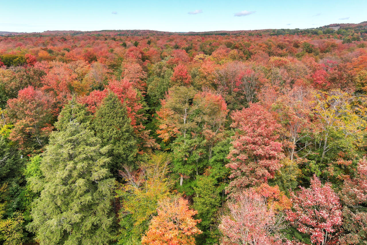 Z0 Homestead Road Benzonia, MI 49616 - Photo 8 of 14 5-Aerial-View-5