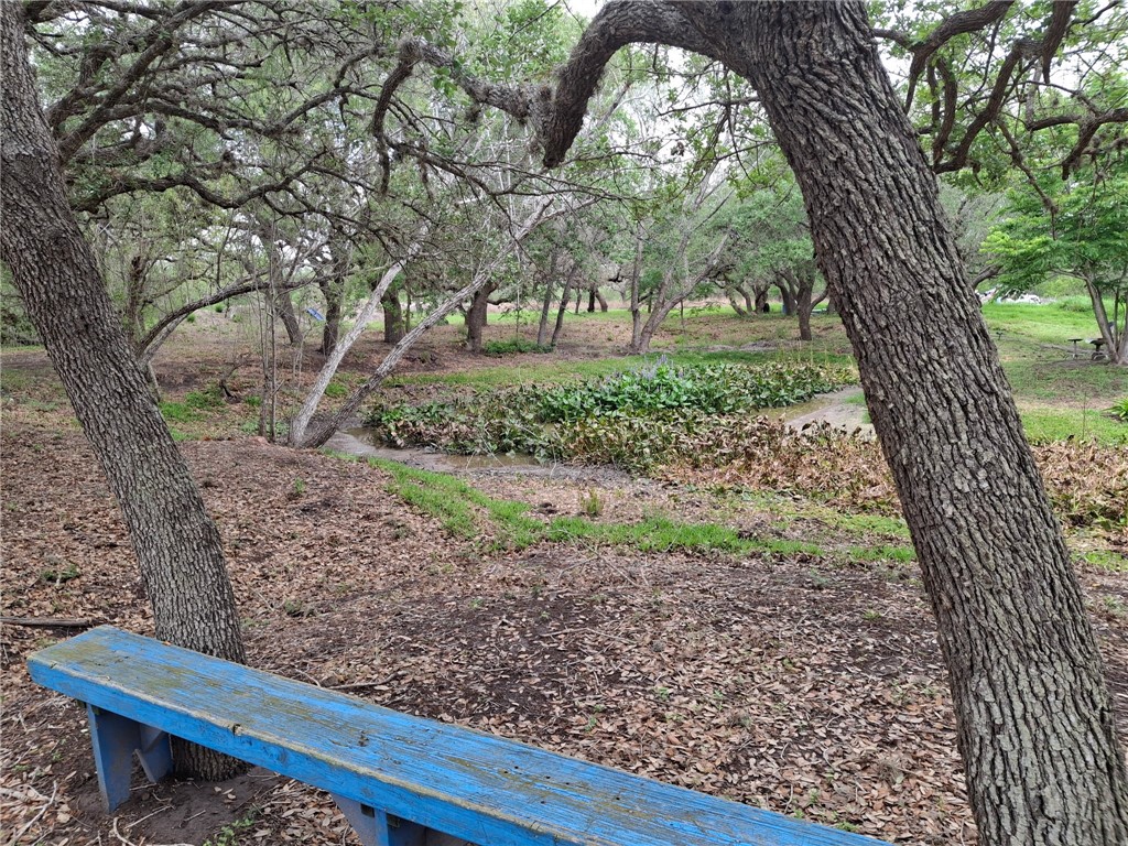 9213 Pvt 6005 Road Sinton, TX 78387 - Photo 13 of 24 paths and trails through-out with places to sit