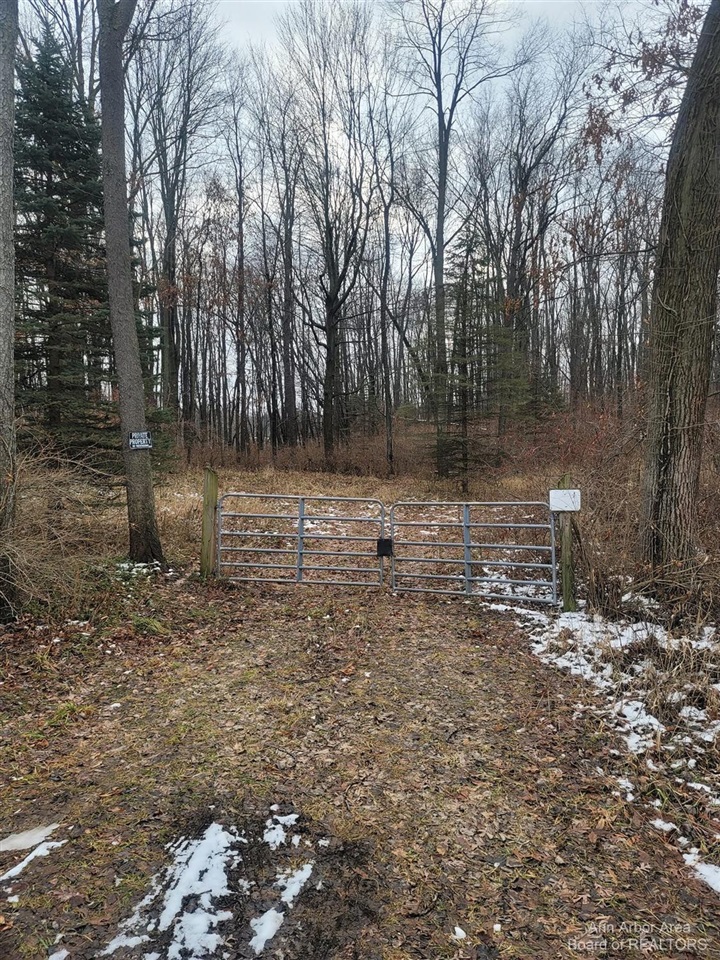 0 South Jackson Road Horton, MI 49246 - Photo 3 of 4