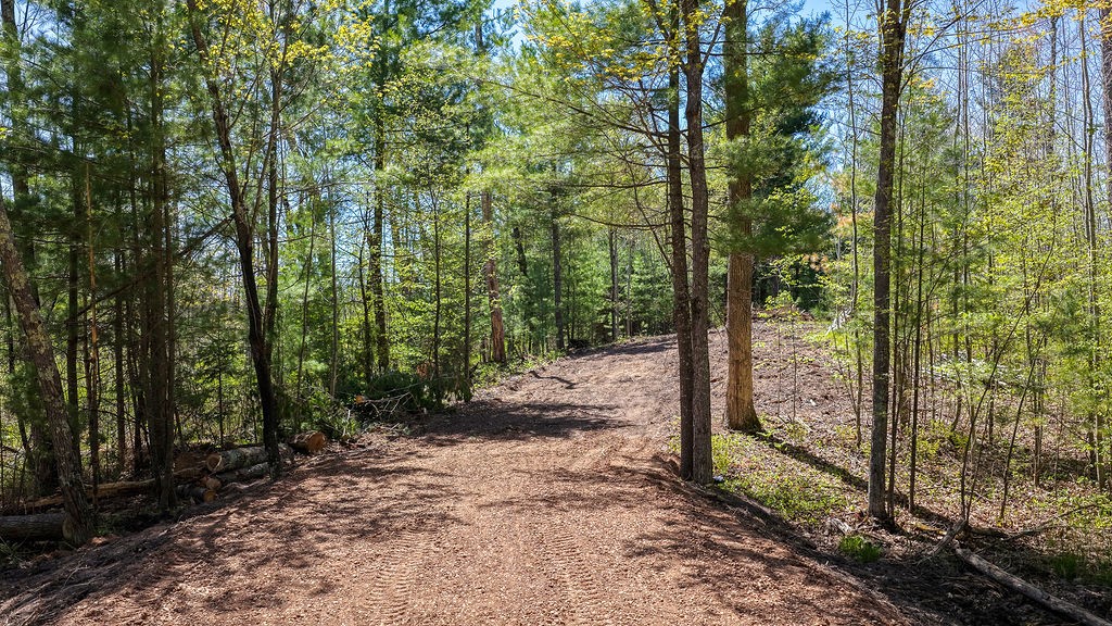 28457 Johnson Lake Road Webster, WI 54893 - Photo 10 of 18