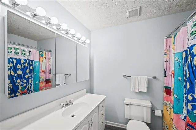 a bathroom with a sink a toilet and shower curtain