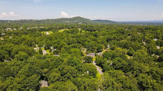 a view of a city with lush green forest