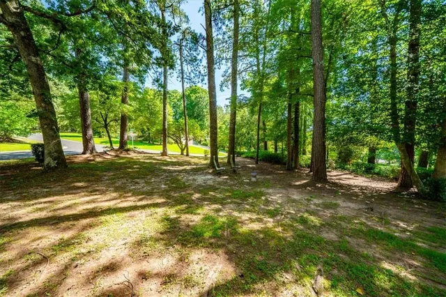 a view of outdoor space with trees all around