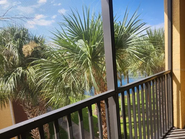 a view of a palm plant from a balcony