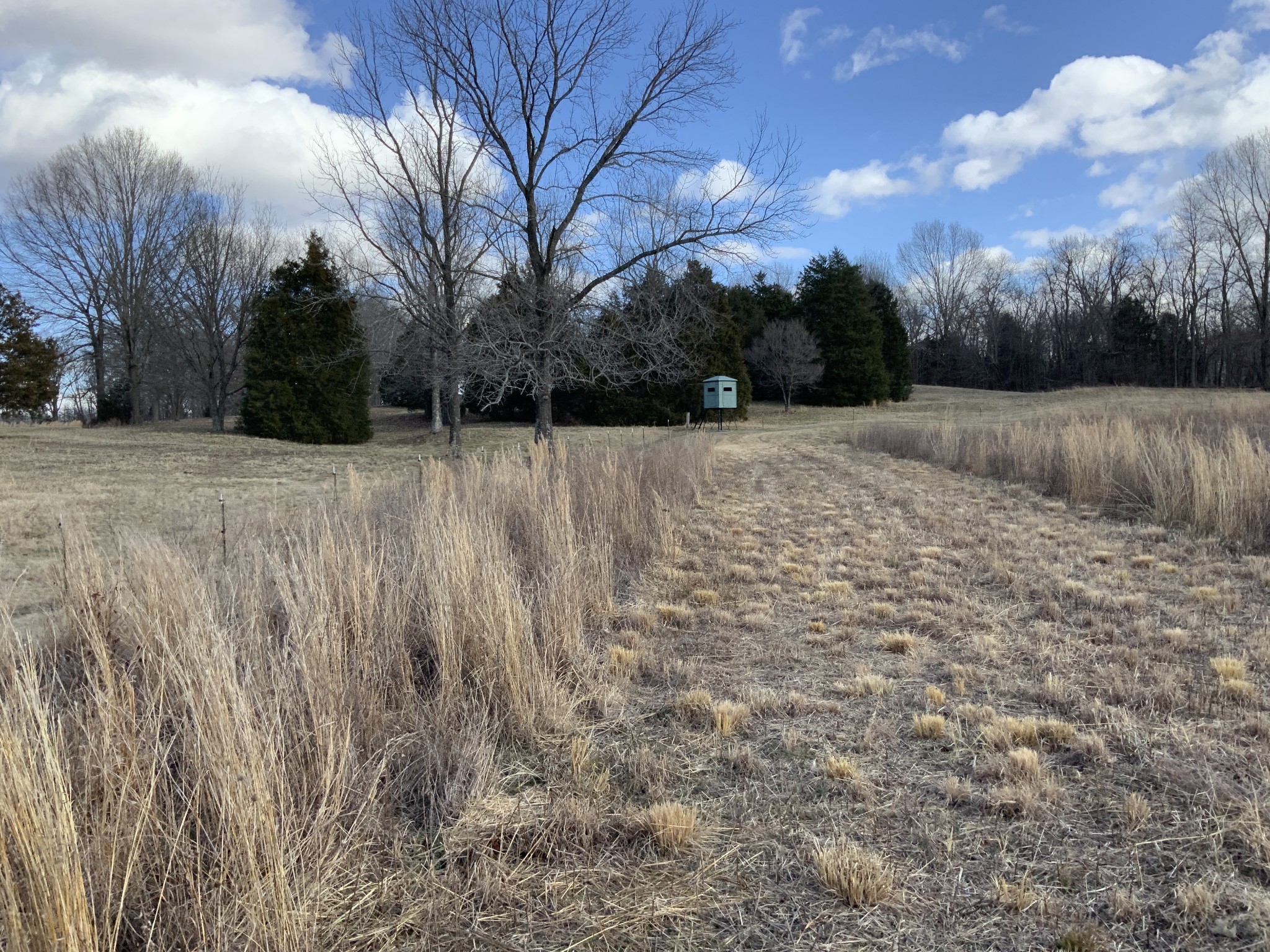 1012 Martin Mill Road Puryear, TN 38251 - Photo 36 of 46 Gallery Image 36