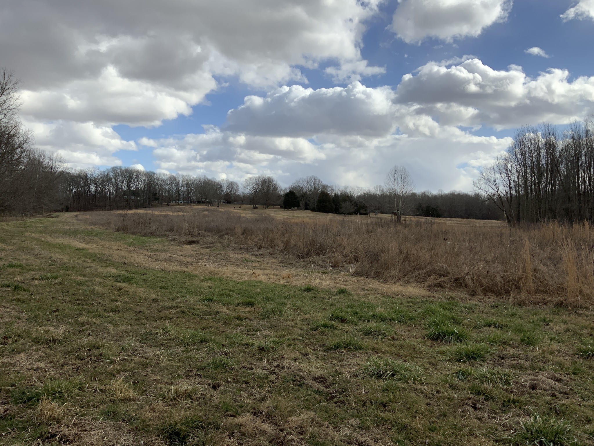 1012 Martin Mill Road Puryear, TN 38251 - Photo 40 of 46 Gallery Image 40