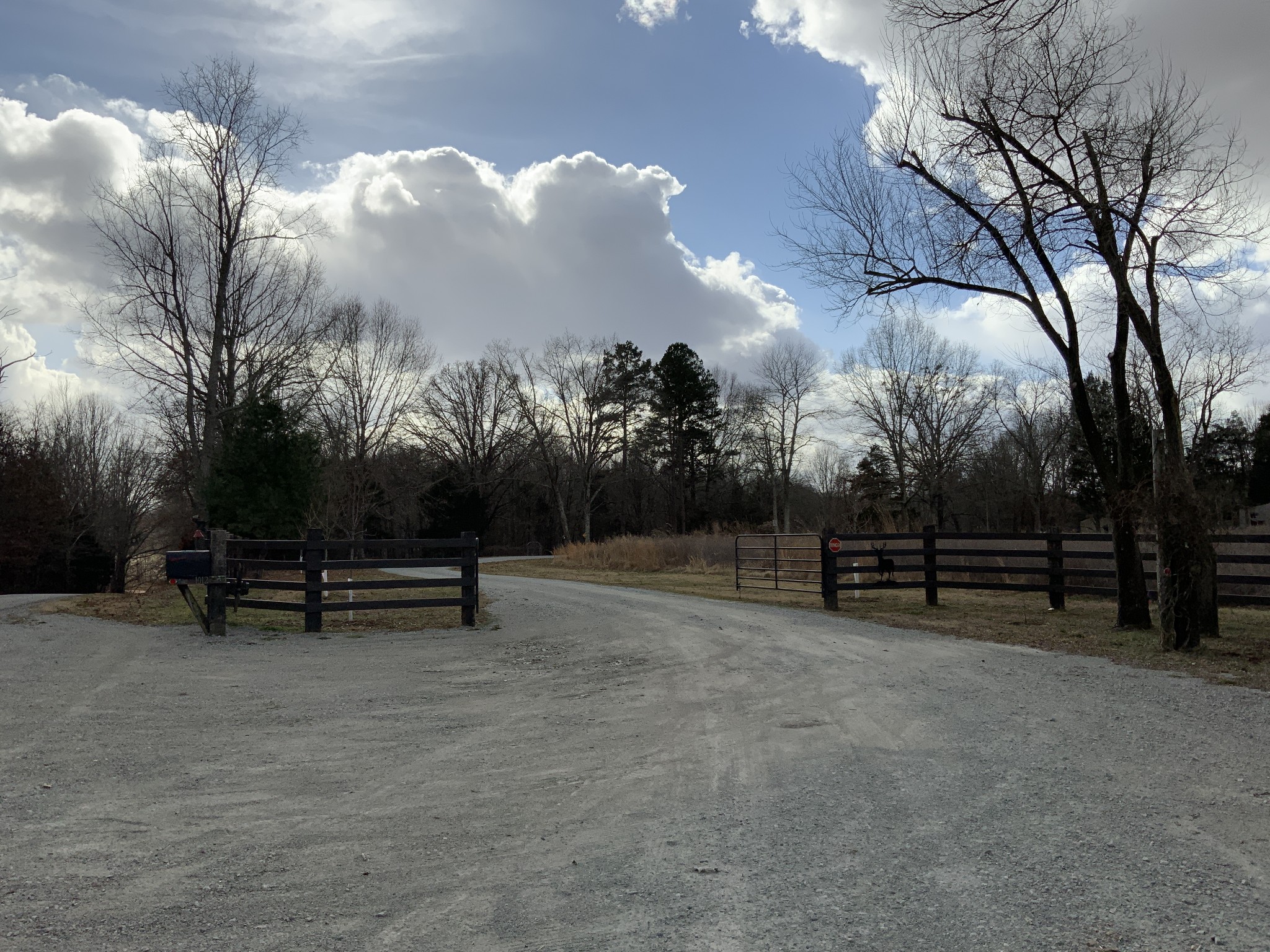 1012 Martin Mill Road Puryear, TN 38251 - Photo 43 of 46 Gallery Image 43