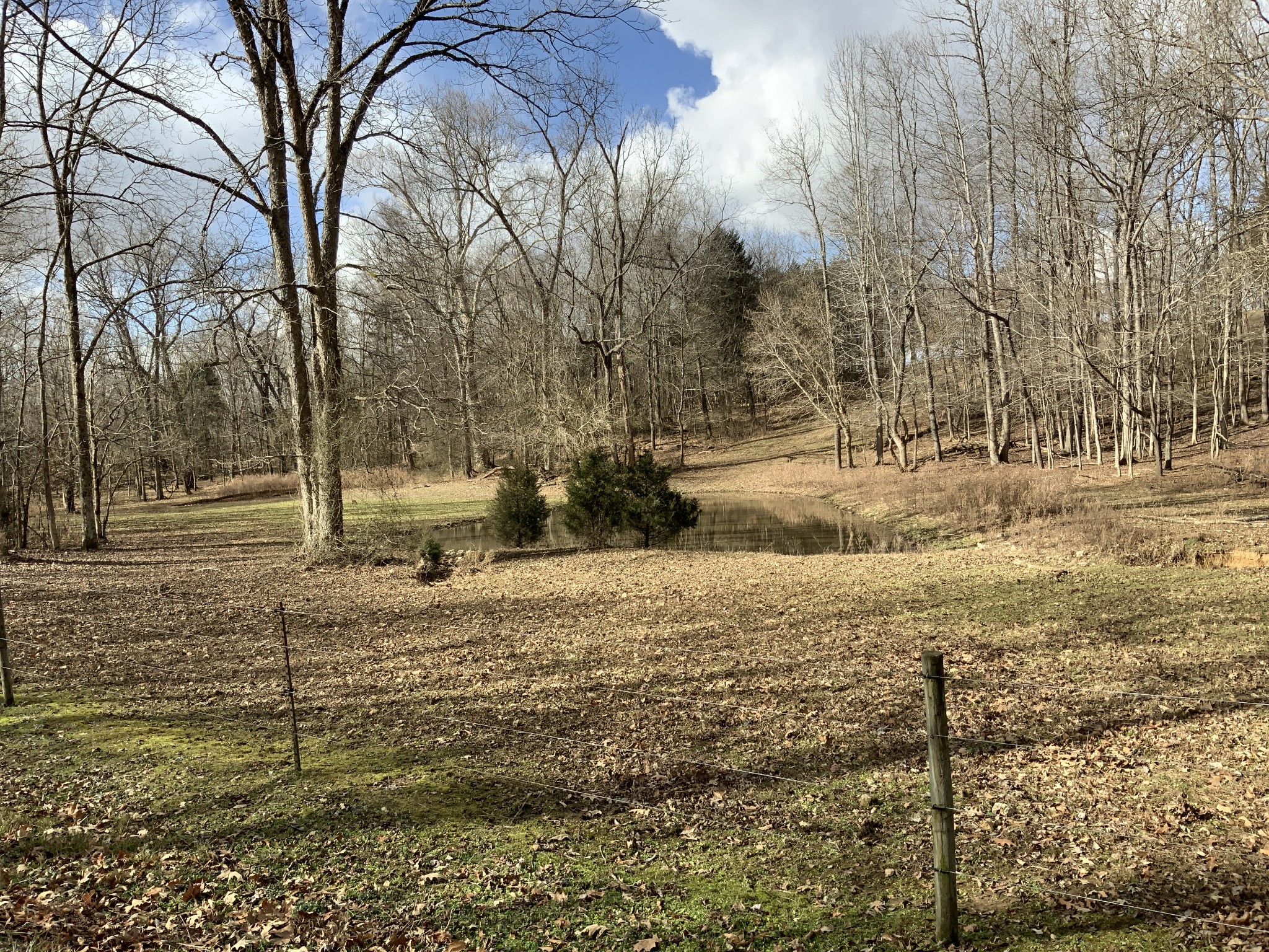 1012 Martin Mill Road Puryear, TN 38251 - Photo 44 of 46 Gallery Image 44