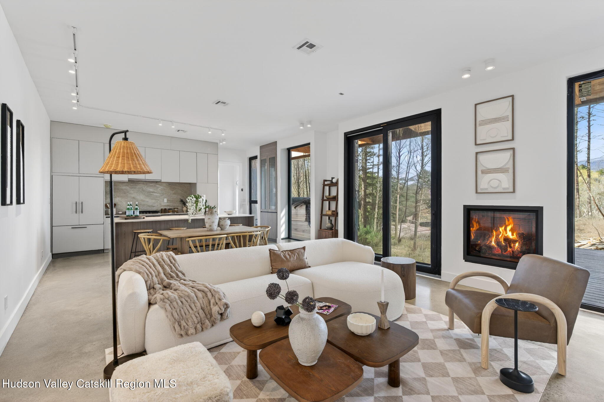 116 Mossy Hill Road Catskill, NY 12414 - Photo 5 of 31 2a