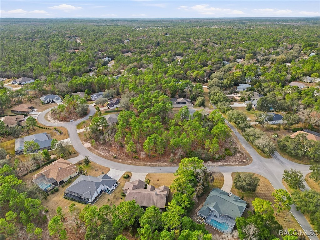 2 Nephthytis Court Homosassa, FL 34446 - Photo 8 of 21
