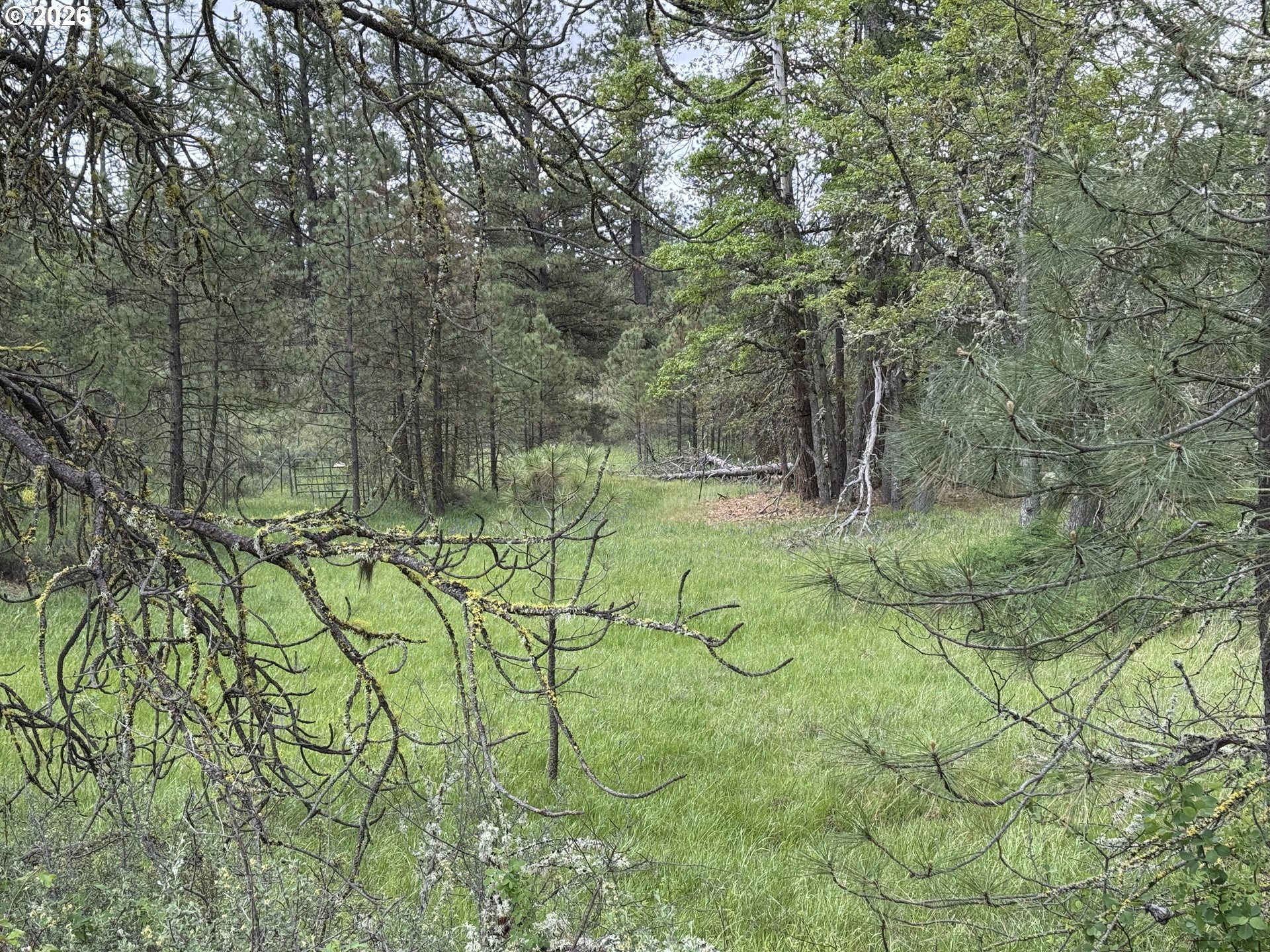 Old Mountain Road Goldendale, WA 98620 - Photo 21 of 41