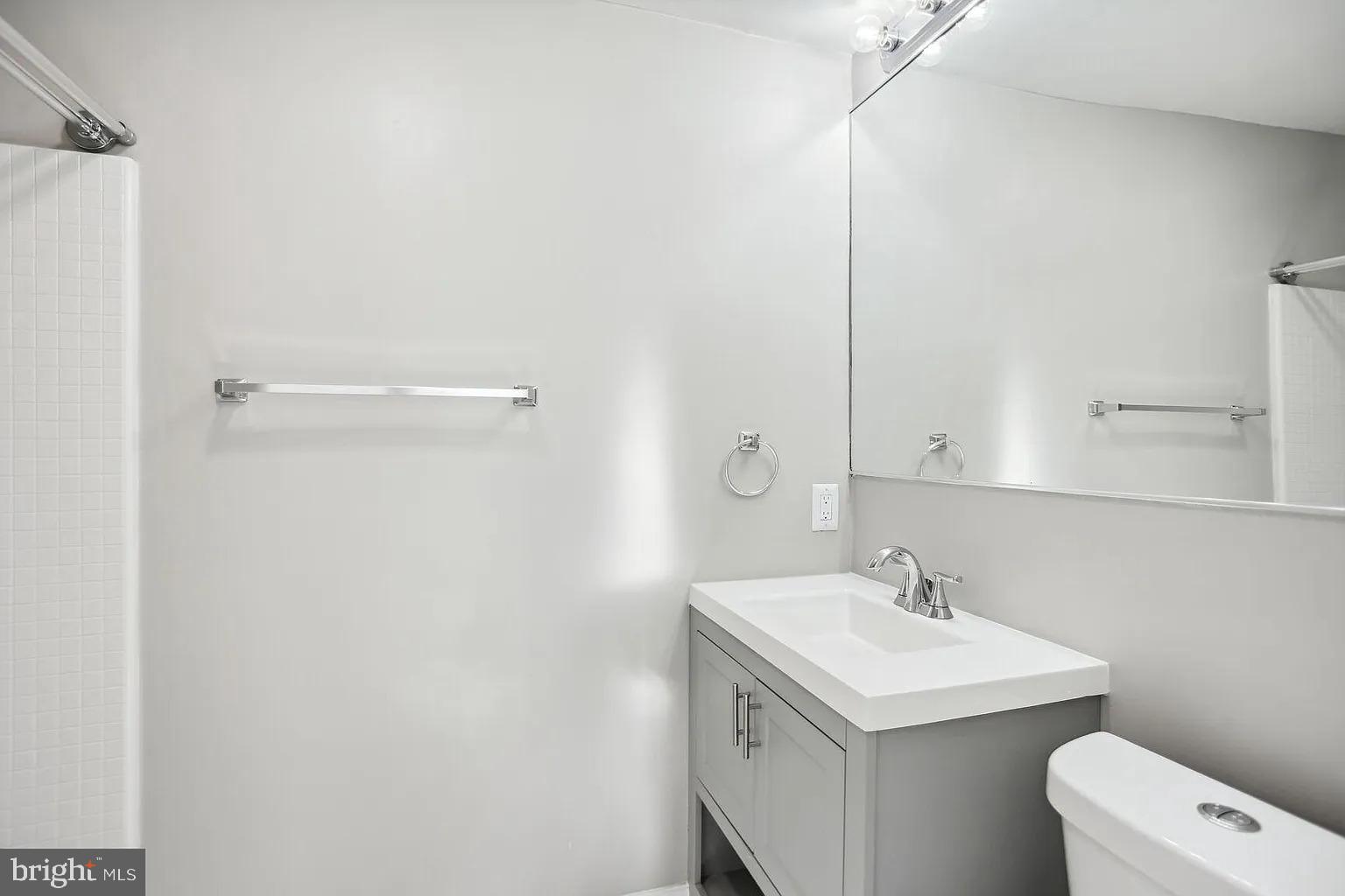 1507 Freedom Way Southeast, Unit 2 Washington, DC 20003 - Photo 18 of 22 a bathroom with a sink a toilet and shower