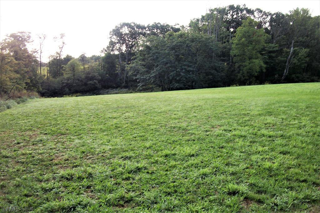 0 Sams Road Manns Choice, PA 15550 - Photo 6 of 28