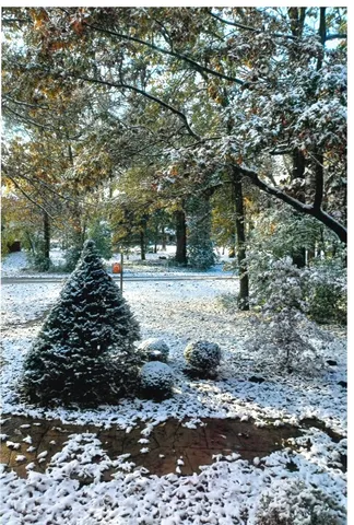 $649,000 | 15501 116th Court, Orland Park, IL 60467