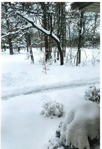 $649,000 | 15501 116th Court, Orland Park, IL 60467