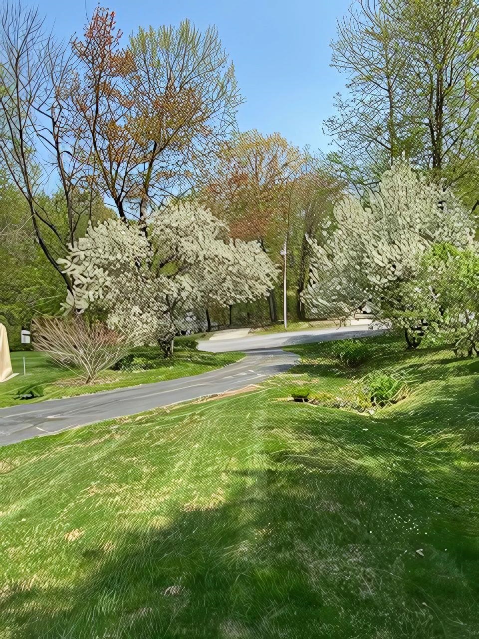 23 Redfield Circle Derry, NH 03038 - Photo 53 of 55