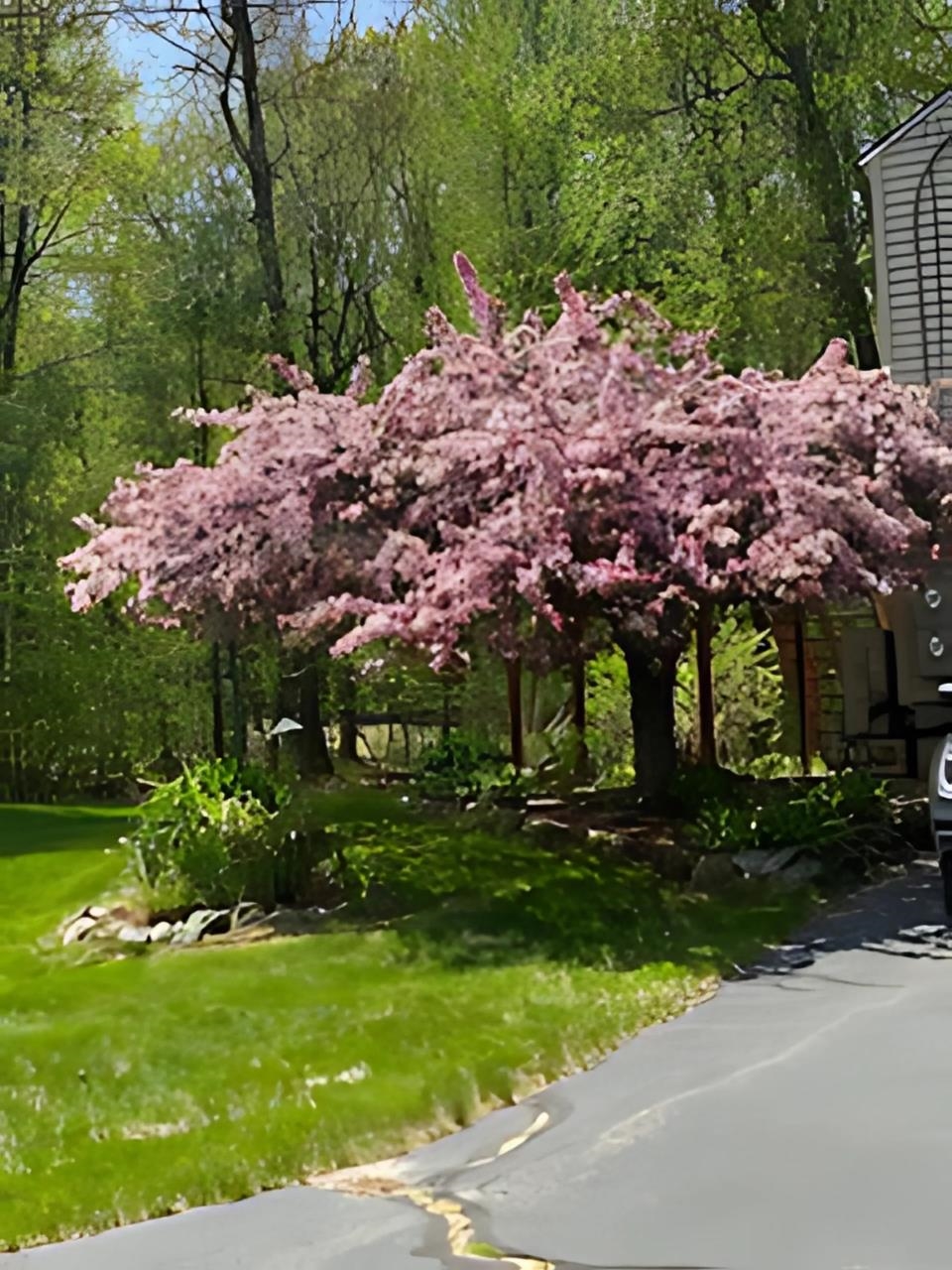 23 Redfield Circle Derry, NH 03038 - Photo 54 of 55