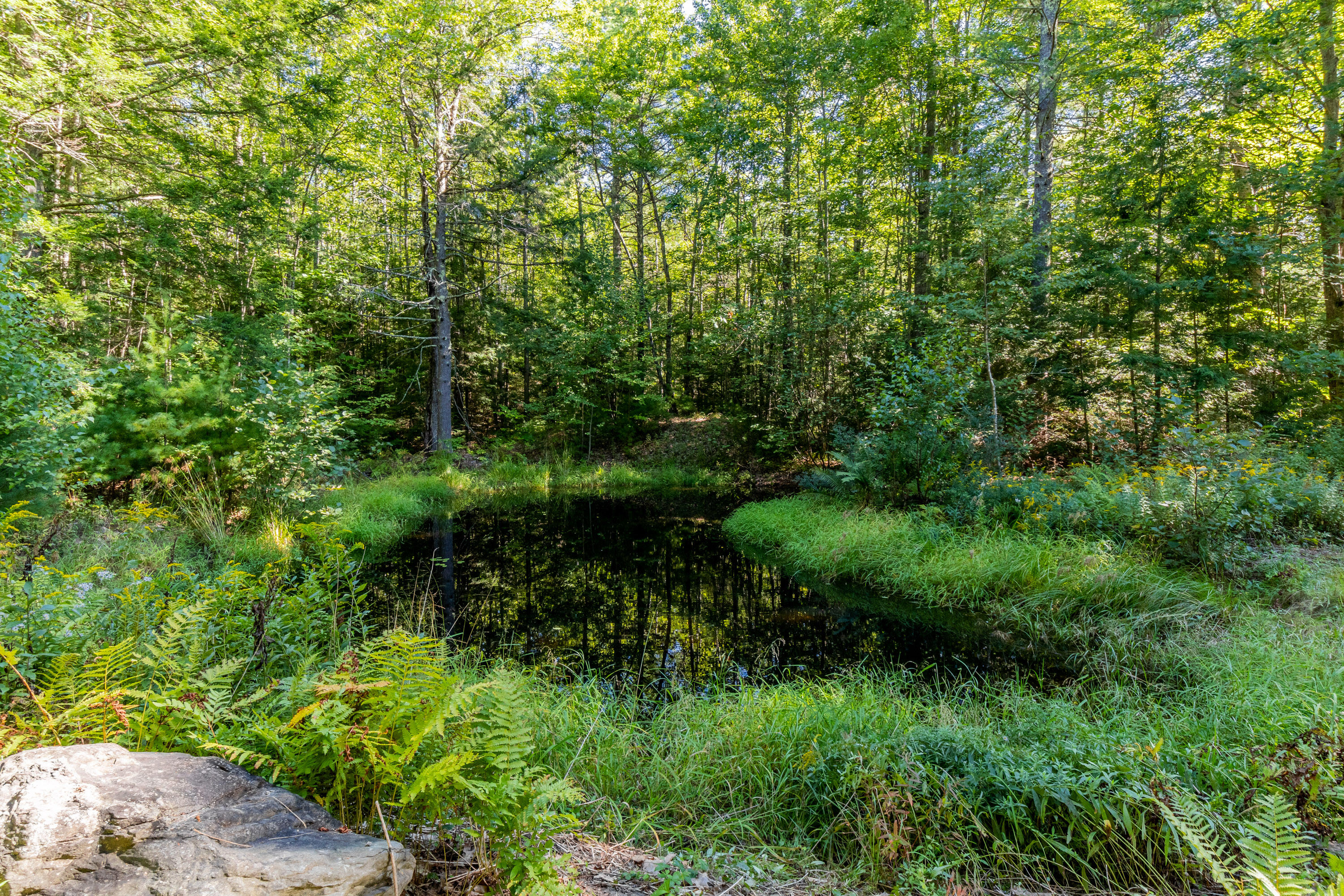 10 Boynton Brook Road Saco, ME 04072 - Photo 69 of 90 20220915ms-81081