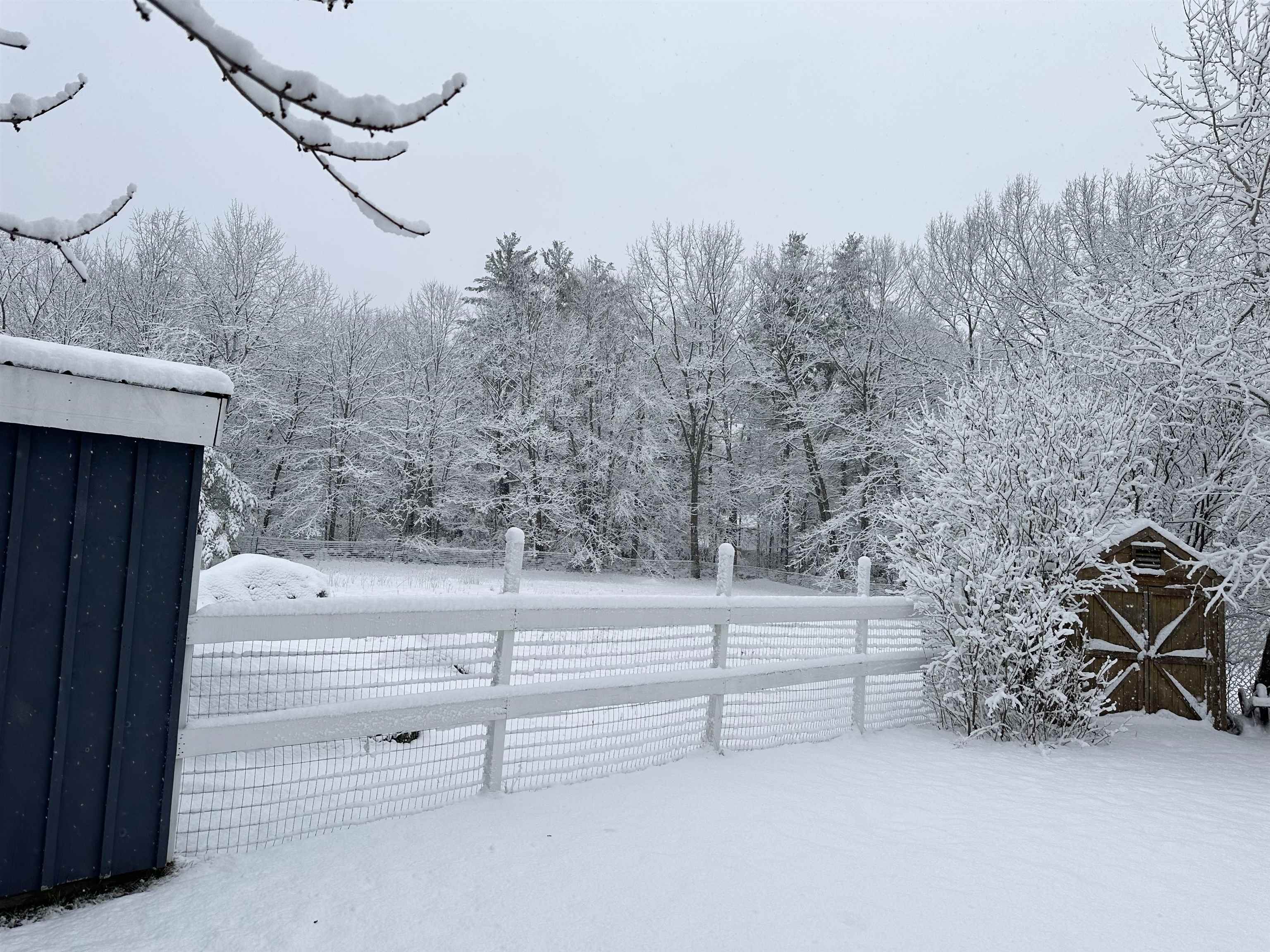 395 Critchett Road Candia, NH 03034 - Photo 3 of 42