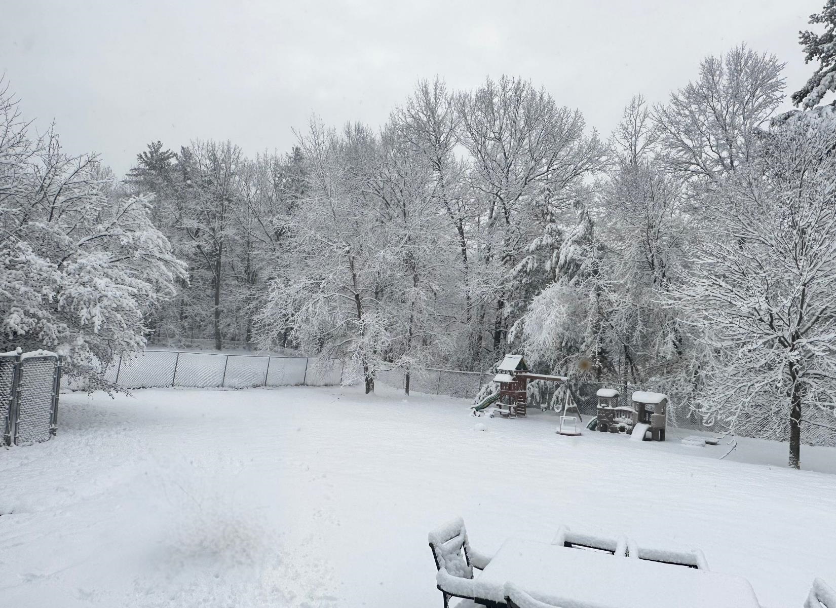 395 Critchett Road Candia, NH 03034 - Photo 4 of 42