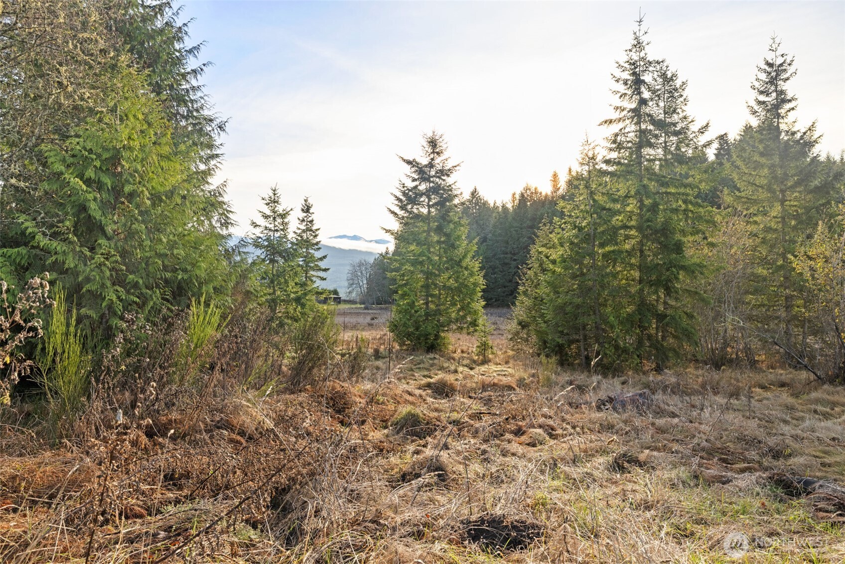 -nka Lost Mountain Road Sequim, WA 98382 - Photo 11 of 29