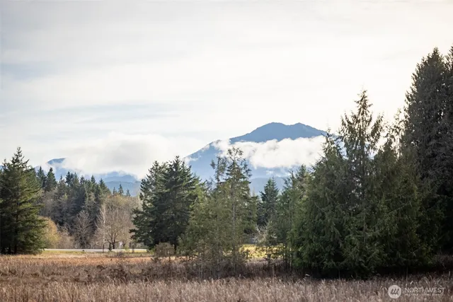 a view of mountain view with trees in the background